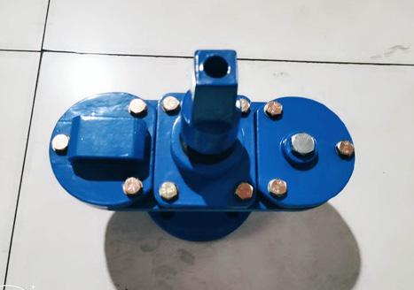 Exhaust valve double port